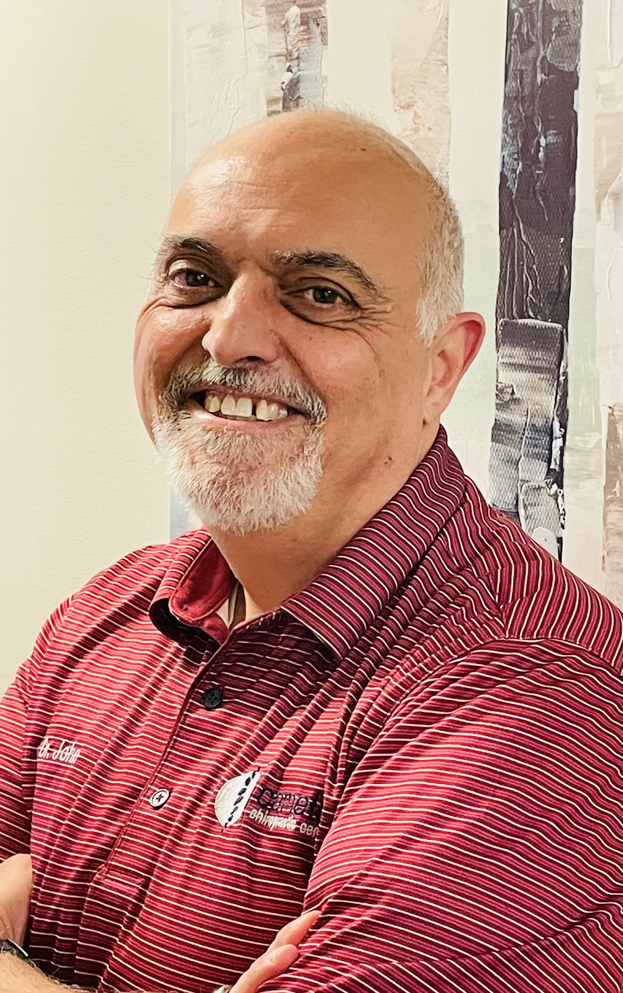 Dr John Sena, DC at Camelot Chiropractic